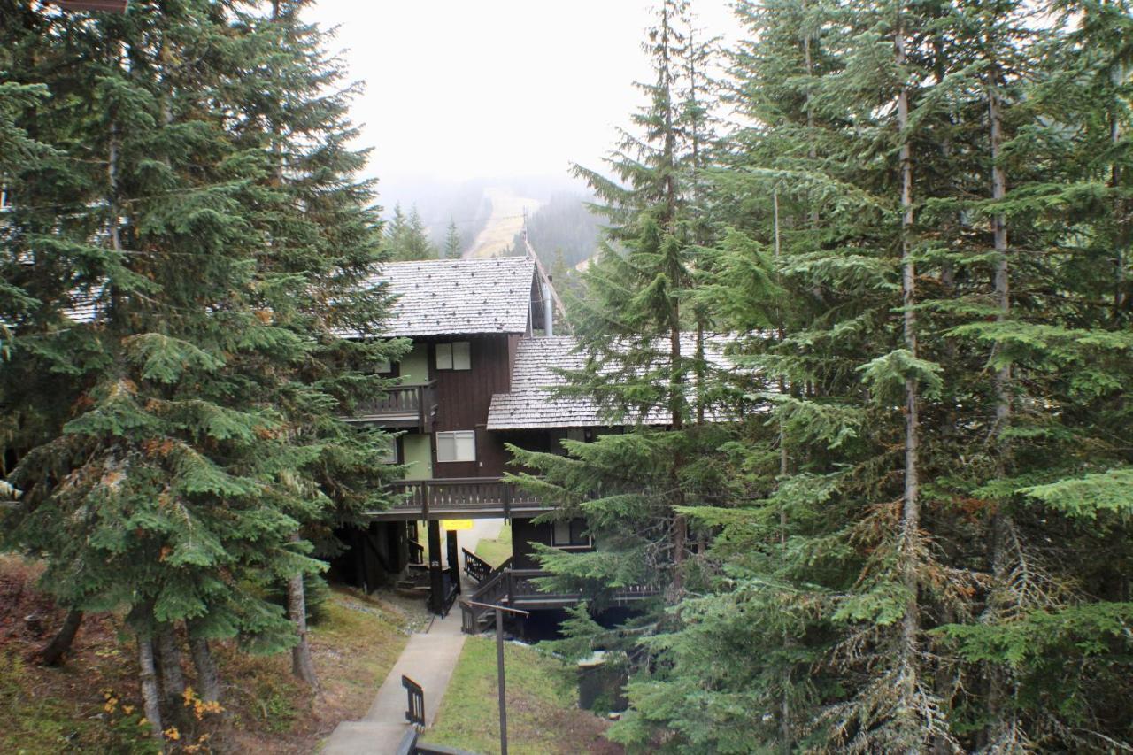 Crystal Chalets Greenwater Экстерьер фото